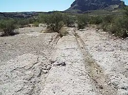 Wagon Wheel Tracks (1882) in Pinal City