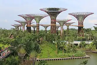Image 29The Supertree Grove at Gardens by the Bay (from Culture of Singapore)