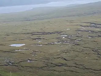 A view of peatlands to the west of Loch Shin.