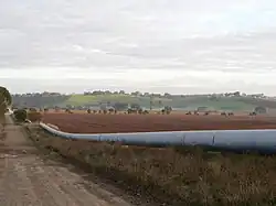 Swan Reach-Stockwell Pipeline at Moculta