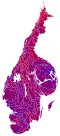 Cartogram of vote with each municipality rescaled in proportion to number of valid votes cast. Deeper blue represents a relative majority for the centre-right coalition, brighter red represents a relative majority for the left-wing coalition.