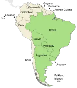 Symphyotrichum graminifolium native distribution: Argentina, Bolivia, Brazil, Paraguay, and Uruguay.