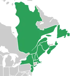 Symphyotrichum tradescantii native distribution map: Canada — New Brunswick, Newfoundland, Nova Scotia, and Québec; US — Maine, Massachusetts, New Hampshire, New Jersey, New York, Rhode Island, and Vermont.