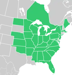 Symphyotrichum urophyllum native distribution: Canada — Ontario; US — Alabama, Arkansas, Florida, Georgia, Illinois, Indiana, Iowa, Kansas, Kentucky, Maine, Maryland, Massachusetts, Michigan, Minnesota, Mississippi, Missouri, Nebraska, New Jersey, New York, North Carolina, North Dakota, Ohio, Oklahoma, Pennsylvania, South Carolina, Tennessee, Vermont, Virginia, West Virginia, and Wisconsin.