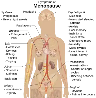 Diagram of human body showing parts affected by menopause