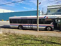 White, blue and red bus behind a telephone pole