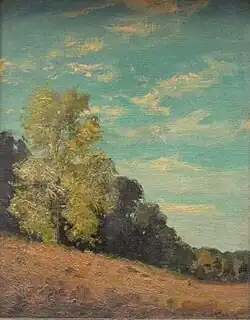 The Sunlit Cottenwood