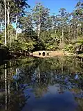 Lake, Tamborine Mountain Botanic Gardens
