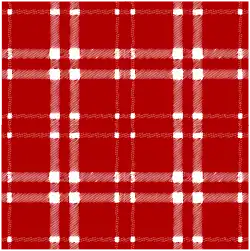 Diagram C, the tartan. The combining of the warp and weft.