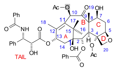 Taxol numbering scheme