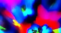 Tenor Vossa photo by Ari Neufeld