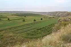 a farming field