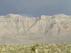 Cliffs, and foothills with Joshua Trees