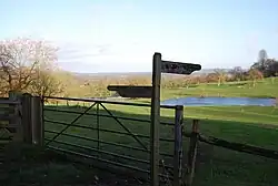 Wick Wood and Worldham Hangers