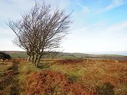 The Mound, Stoke Ridge, Stoke Pero