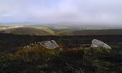 The Whit Stones: two standing stones 230 m west of Whitstone Post