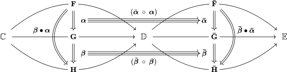The interchange law in category theory.