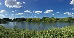 The lake in Harrow Lodge Park, 2020