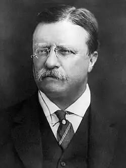 Theodore Roosevelt-Pach (cropped).jpg