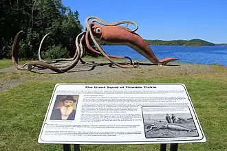 #45 (2/11/1878), Another view of the sculpture showing the accompanying information plaque (compare the giant squid illustration therein with this modified version). Part of the Giant Squid Interpretation Site, the sculpture is located close to the site of the original specimen's capture and has featured on a Canada Post stamp.