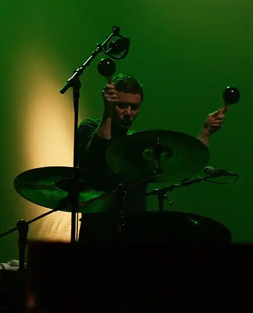 Thomas Wydler - Nick Cave ^ the Bad Seed - Spello, Villa Fidelia - 31 maggio 2008 - Flickr - Un ragazzo chiamato Bi (cropped).jpg