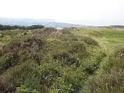 Bowl barrow on Thorncombe Hill known as `Thorncombe Barrow'