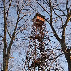 Thumbnail image of Tick Ridge Fire Tower at Cabwaylingo State Forest