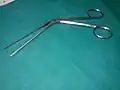 Tilly's nasal dressing forceps