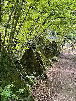 The picture is of triangular concrete anti-tank blocks, known as part of the Toblerone Line, named for their resemblance to the Toblerone chocolate bar.