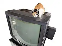 Top view of Sony PVM-4300 with calico cat for scale