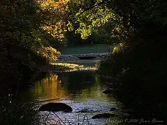 Travertine Creek in fall