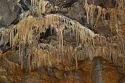 Image 13Stalactites in the New Series (from Treak Cliff Cavern)