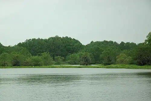 Champion Lake in the Trinity River National Wildlife Refuge.
