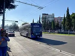 Bus in Colonia Morelos