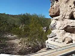 Ruins of the Solomon Warner Mill.