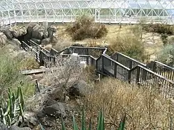 The fog desert section of the Biosphere