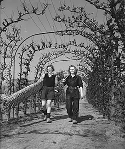 Schoolgirls, April 1946