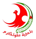 Official logo of Tulkarm