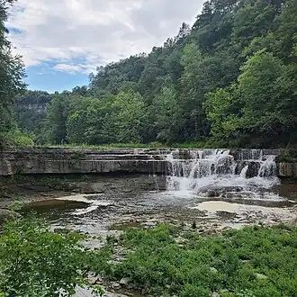 Tully Formation at Taughannock Falls State Park, location of the Taghanic event rocks