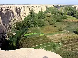 Landscape at the foot of the plateau on which Jiaohe is located
