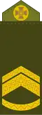 Майстер-сержант Maister-serzhant (Ukrainian Ground Forces)[21]