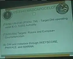 STORMBREW: MADCAPOCELOT