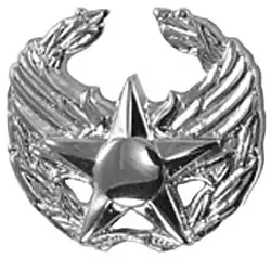 Commander's Insignia