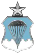 Air Force Senior Parachutist Badge