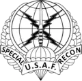 Special Reconnaissance Crest