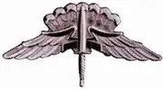 Military Freefall Parachutist Badge*