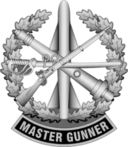 Master Gunner Identification Badge