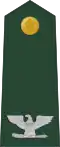 Colonel