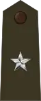 Brigadier general