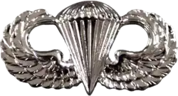 Parachutist Badge*